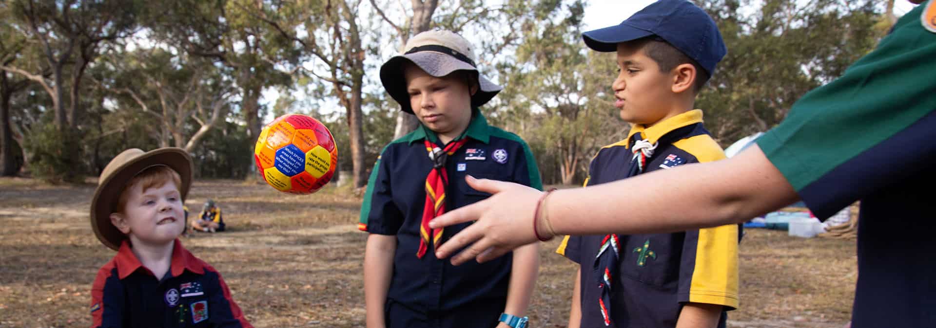 Annual Review Annual Reviews from 2011 to Today Scouts NSW